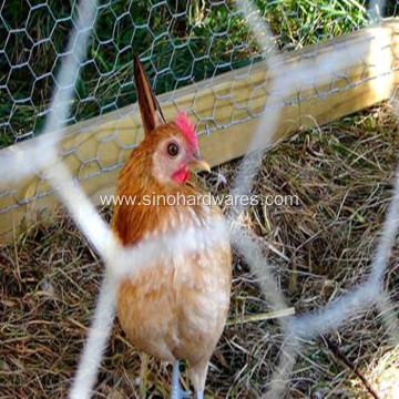 Poultry Netting Mesh Fence